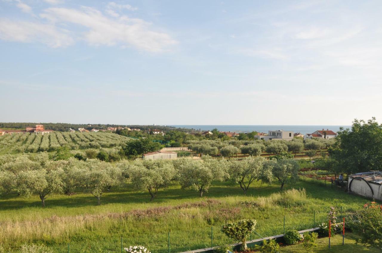 Apartments Rosa Умаг Екстер'єр фото